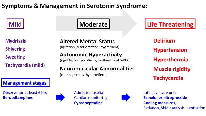 serotonin_syndrome [TUSOM | Pharmwiki]